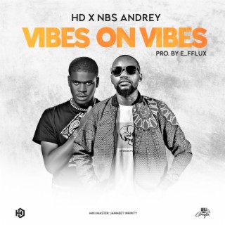 Vibes On Vibes ft. NBS ANDREY lyrics | Boomplay Music