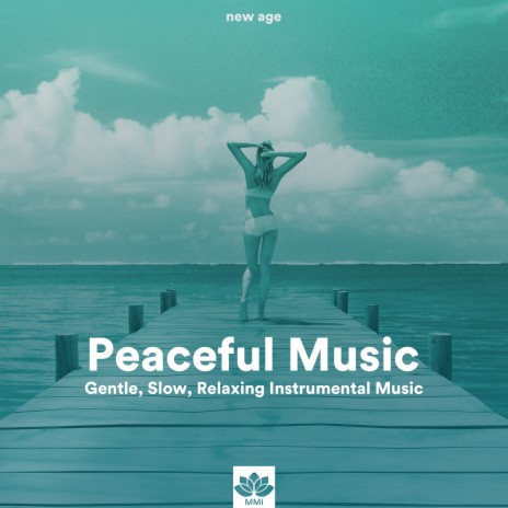 Vinyasa Yoga (New Age Music) | Boomplay Music