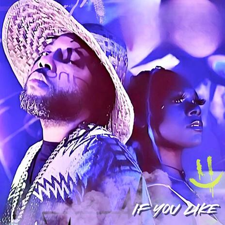 IF YOU LIKE (Radio Edit) ft. Shawney Rainne | Boomplay Music