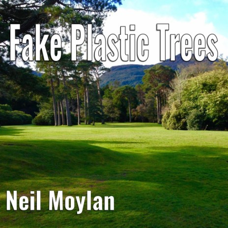 Fake Plastic Trees (Piano Version) | Boomplay Music