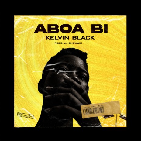 Aboa Bi