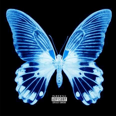 Butterfly Effect | Boomplay Music