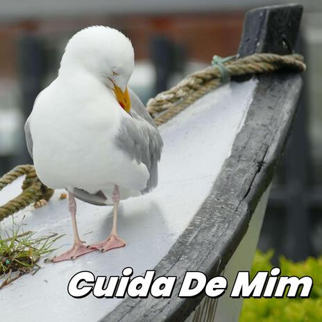 Cuida De Mim