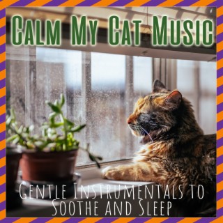 Calm My Cat Music - Gentle Instrumentals to Soothe and Sleep