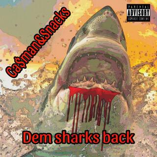 Dem sharks back