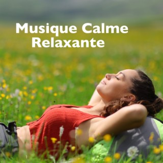 Musique Calme Relaxante