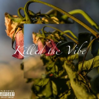 Killed The Vibe