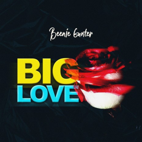 Big Love | Boomplay Music