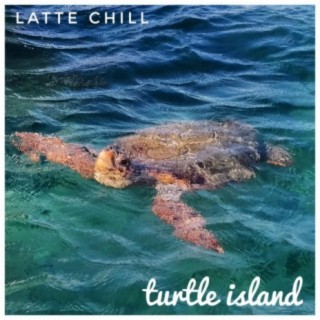 Turtle Island