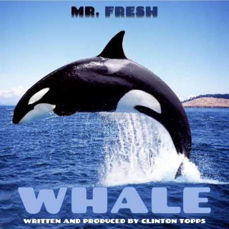 whale | Boomplay Music