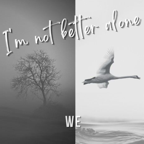 I'm not better alone | Boomplay Music