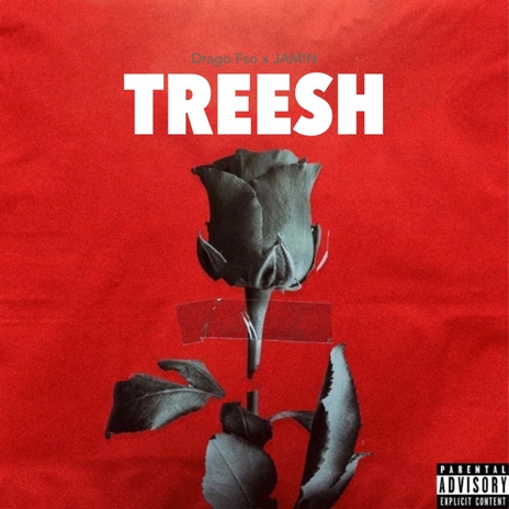 TREESH ft. JAM!N | Boomplay Music