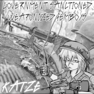 Government Sanctioned Weaponized Femboys