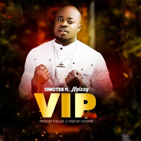VIP ft. Ngizzy | Boomplay Music