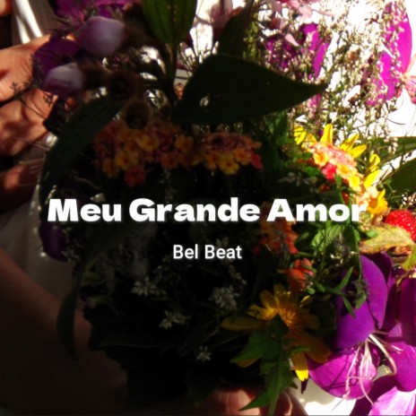 Meu Grande Amor | Boomplay Music