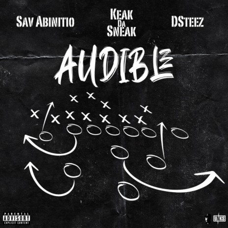 Audible ft. Dsteez & Sav Abinitio | Boomplay Music