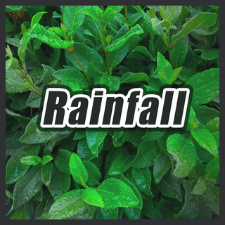 Rainfall