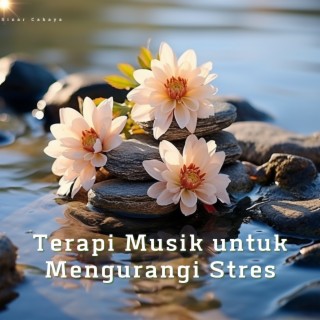 Terapi Musik untuk Mengurangi Stres