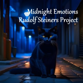 Midnight Emotions