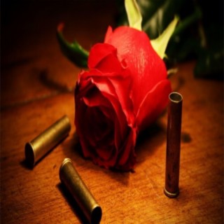 Roses and Bullets