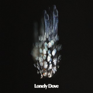 Lonely Dove lyrics | Boomplay Music