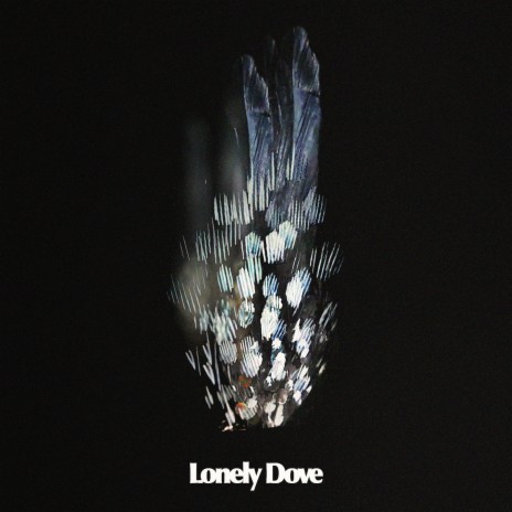 Lonely Dove