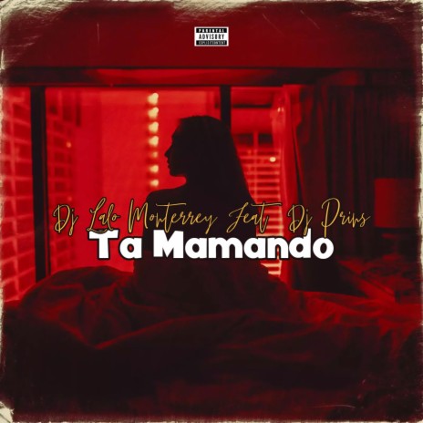 Ta Mamando ft. Dj Prins Chicago