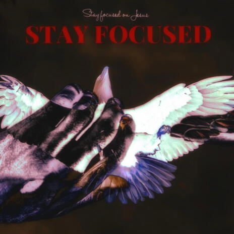 Stay Focused | Boomplay Music