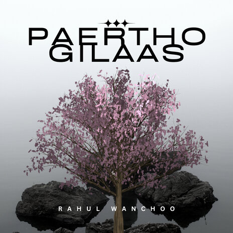 Paertho Gilaas | Boomplay Music