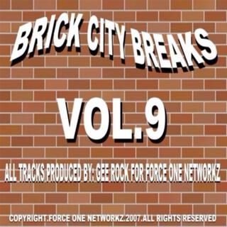 Brick City Breaks, Vol. 9