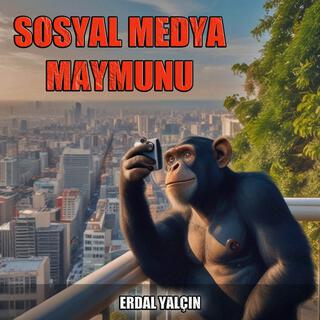 Sosyal Medya Maymunu