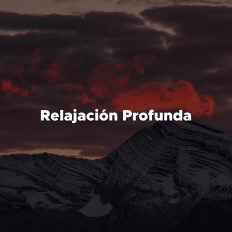 Relajación y Bienestar | Boomplay Music