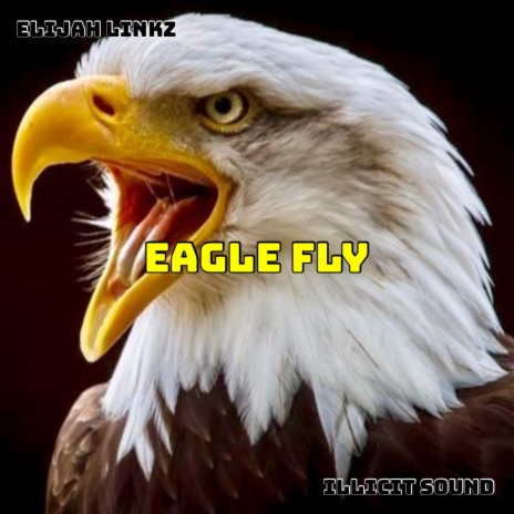 Eagle Fly | Boomplay Music