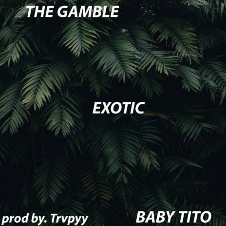 Exotic ft. Baby Tito | Boomplay Music