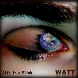 Life in a Blink