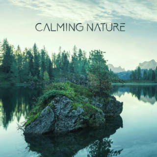 Calming Nature: Serenity Spa, Relaxation, Meditation, Yoga, Massage