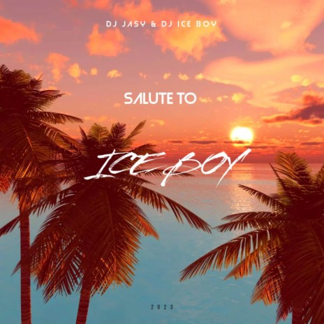 Salute To Ice Boy | Boomplay Music