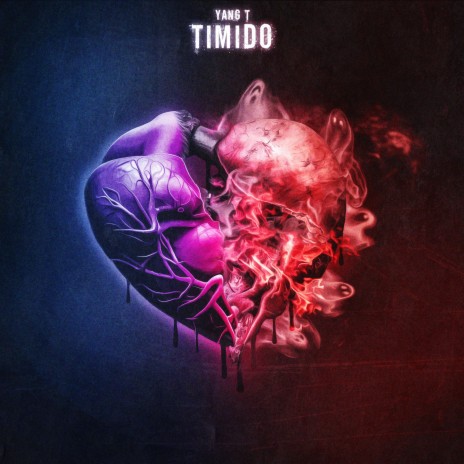 TIMIDO | Boomplay Music