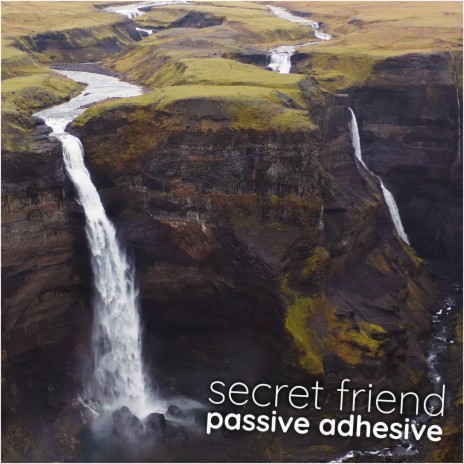 Passive Adhesive | Boomplay Music