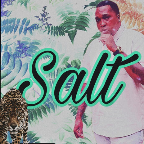 Salt | Boomplay Music