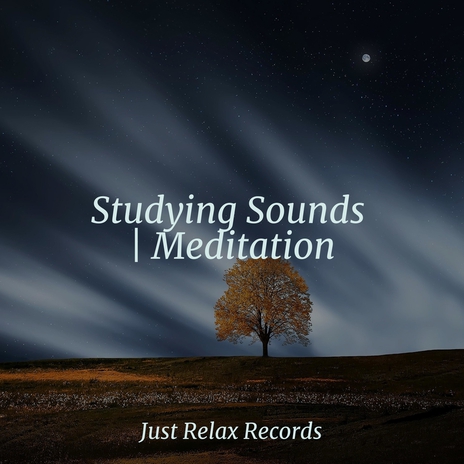 Enchanting Rhythms of Tranquility ft. Nature Sound Collection & Schlaflieder Für Kinder | Boomplay Music