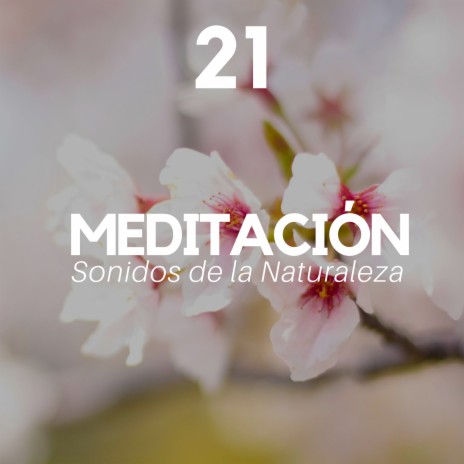 Equilibrar los 7 Chakras | Boomplay Music