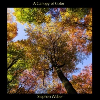 A Canopy of Color