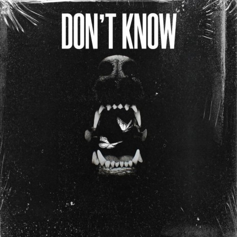 Don’t Know | Boomplay Music