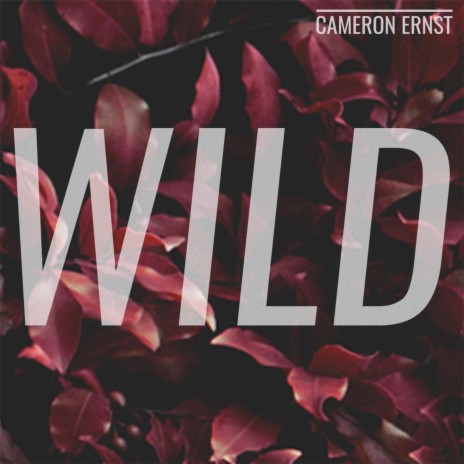 Wild | Boomplay Music