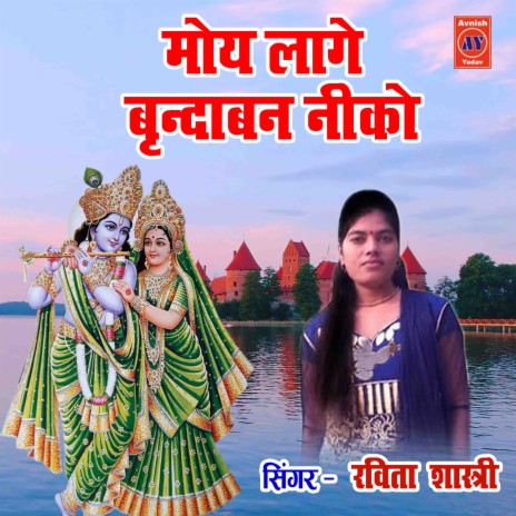 Moye Lage Virndavan Niko | Boomplay Music