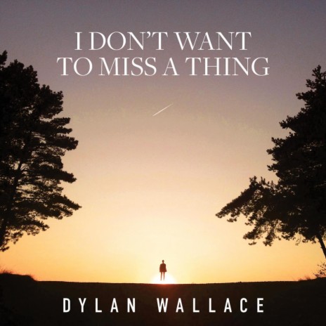 I Don't Want to Miss a Thing | Boomplay Music