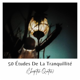 50 Études De La Tranquillité (Chapitre Quatre)