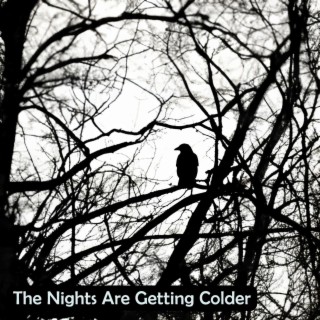 The Nights Are Getting Colder