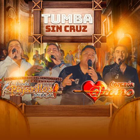 TUMBA SIN CRUZ ft. BANDA PAJARILLOS MUSICAL | Boomplay Music